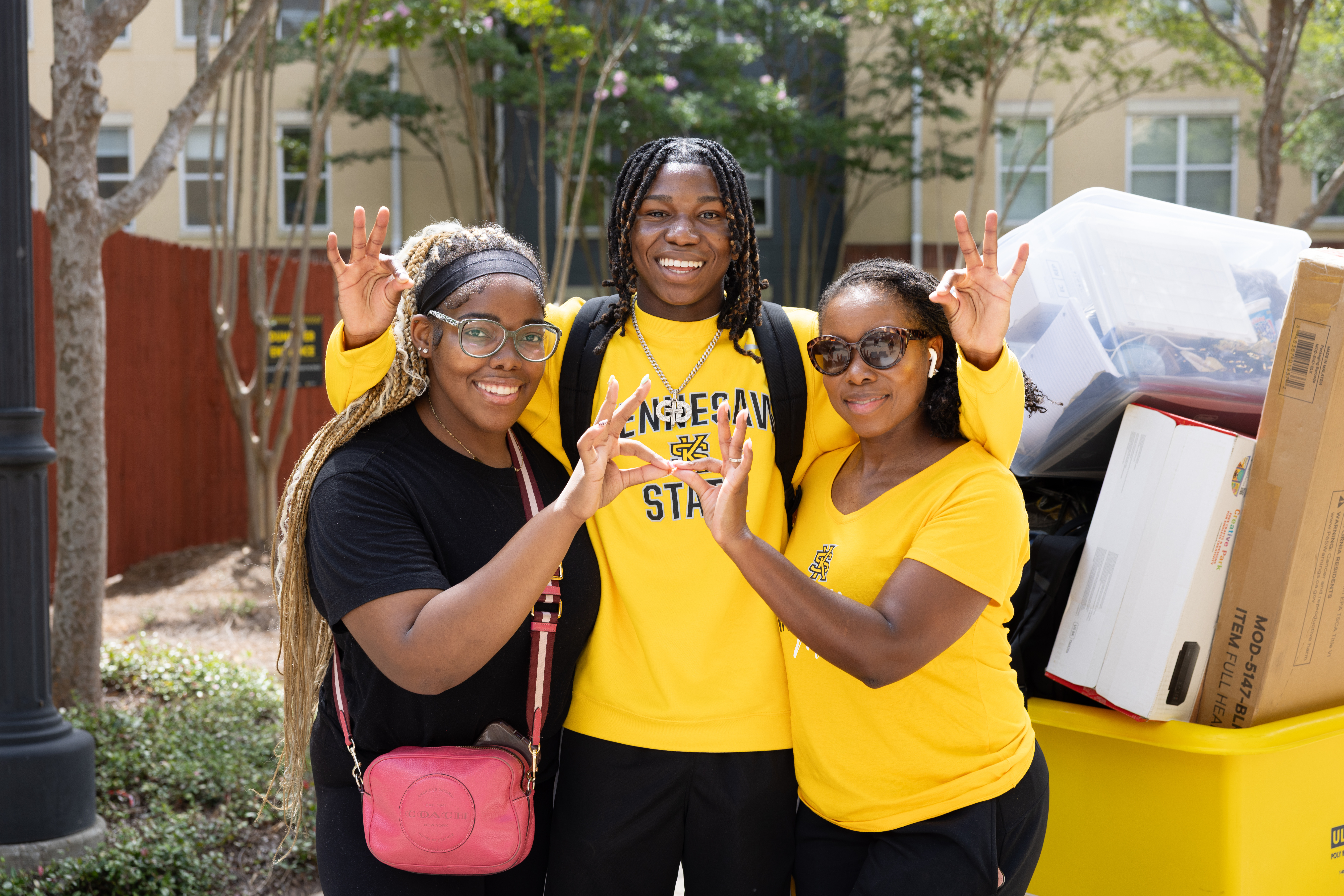 Kennesaw, Georgia visual data 8