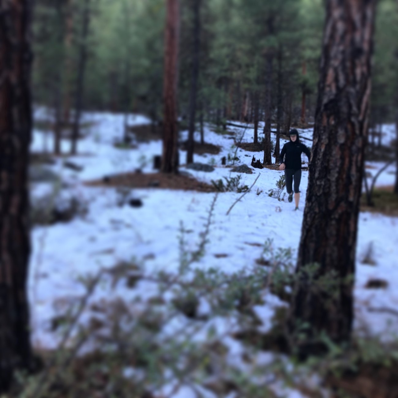 A photo in this story