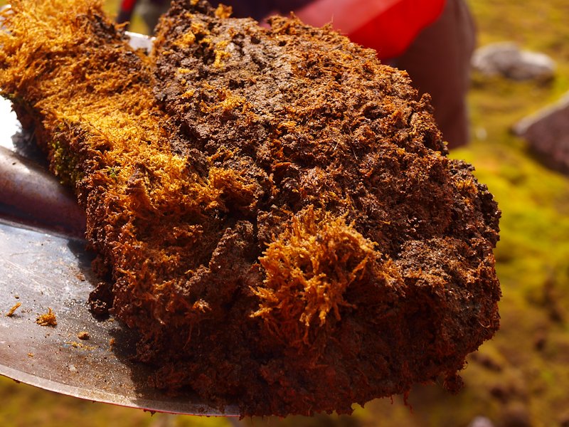 Analysing the age and quality of organic matter in soil can tell scientists a great deal about future climate change.