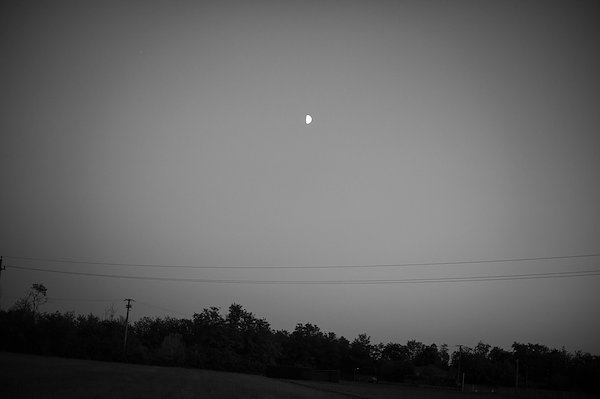 A photo in this story