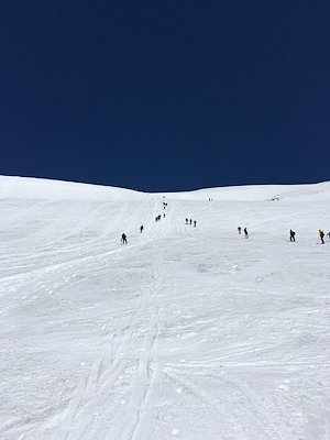 A photo in this story