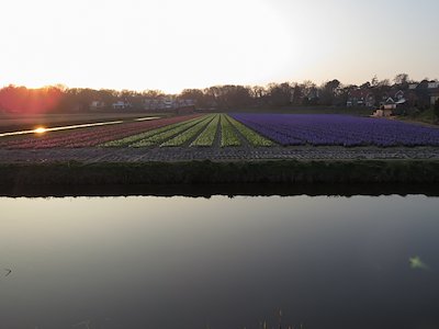A photo in this story