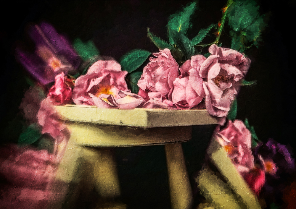 'The Pink Roses of Cairo' by Cristina Schek