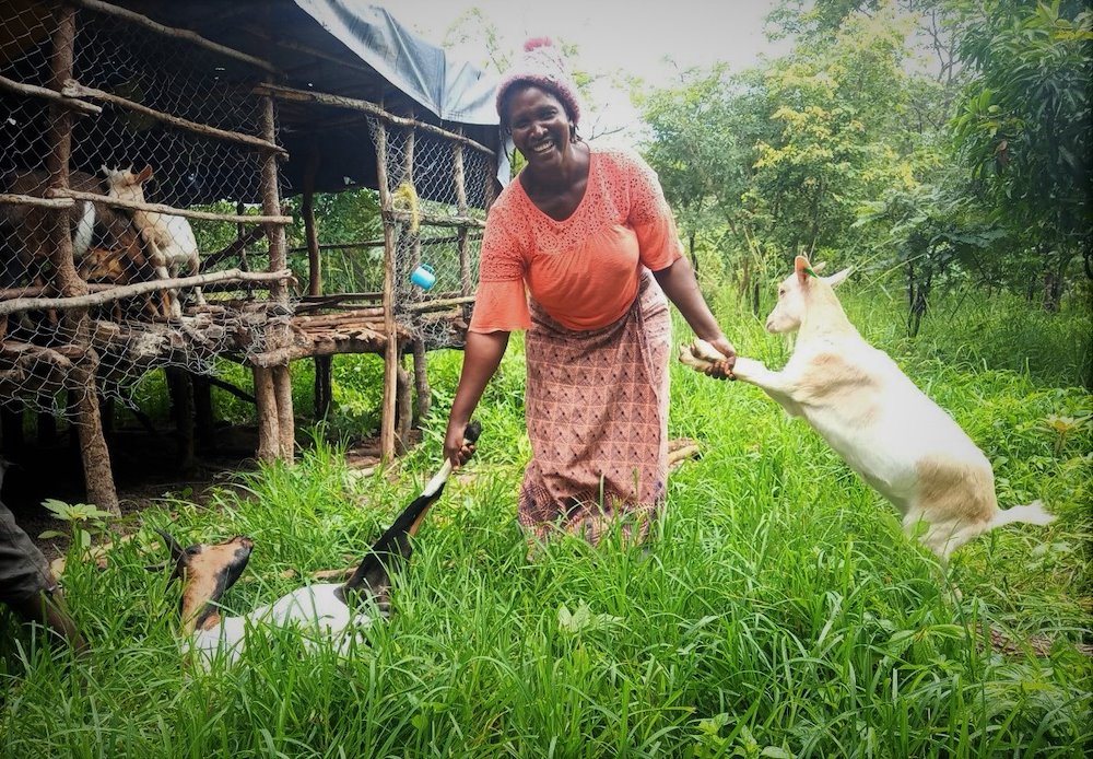 Sylvia tends to her goats. Photo: UNDP/Belinda Zimba