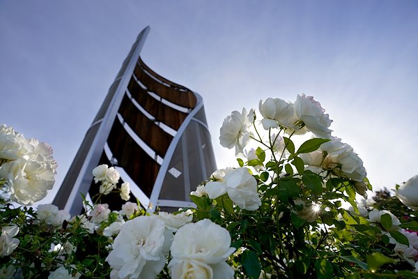 Flowers near the base of the sprout monument.