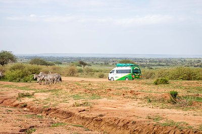 We saw Zebras on our way to a mobile clinic!