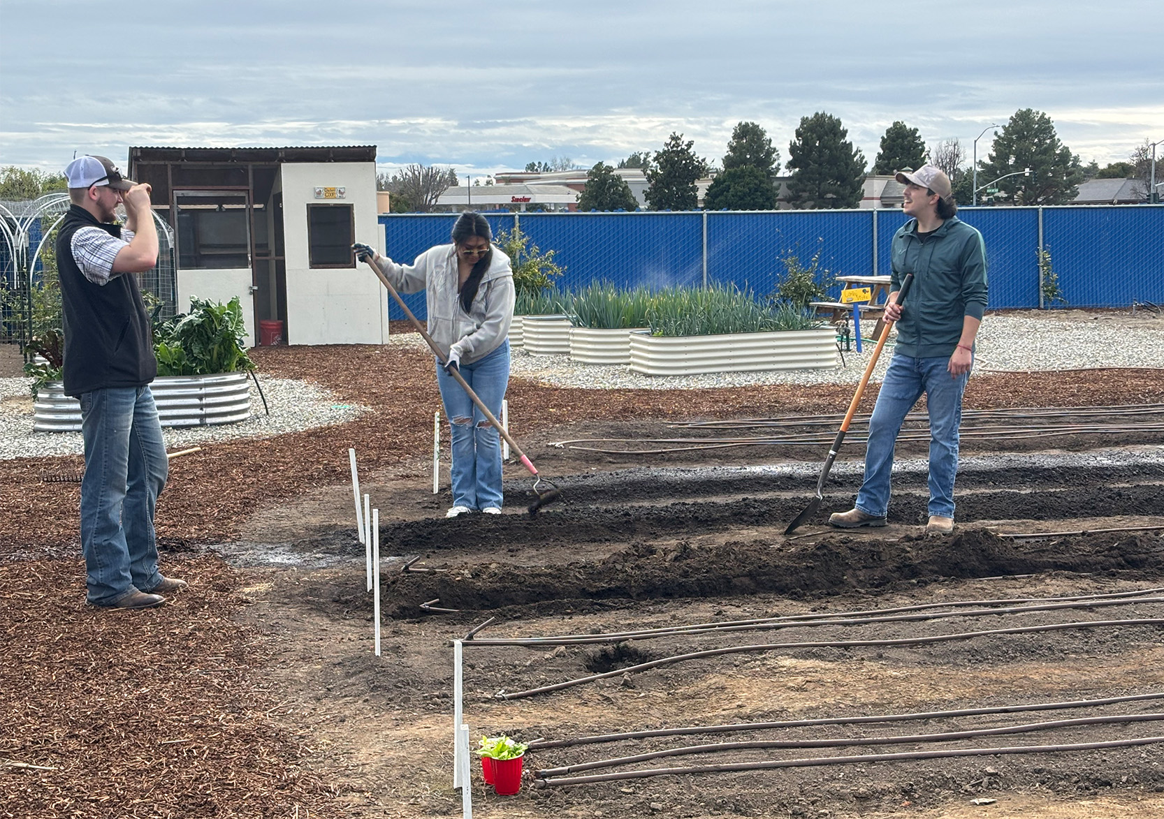 CSUB offers first course at Edible Garden