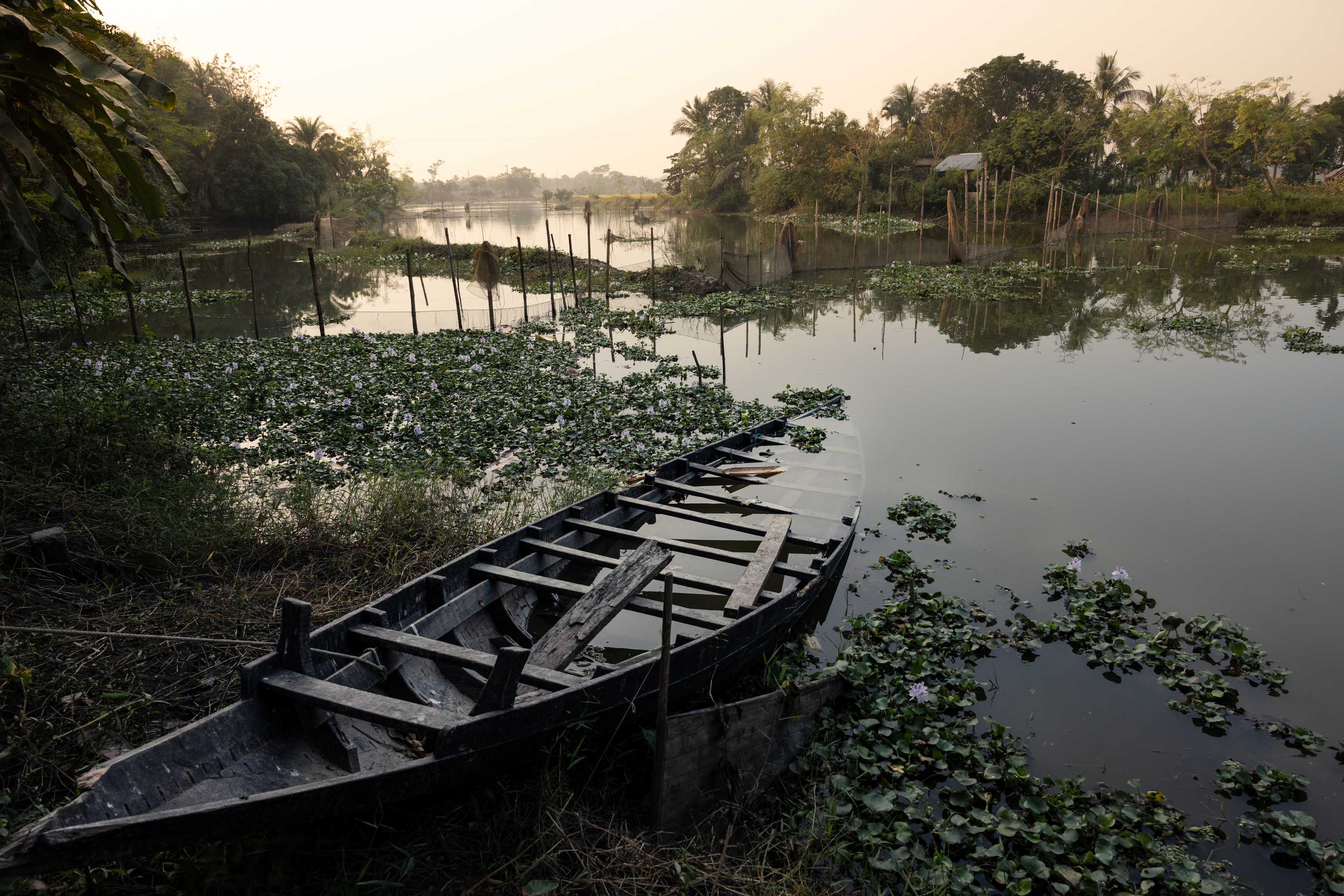 Champa and Rekha: Fighting Tuberculosis Through Fear and Floods in ...
