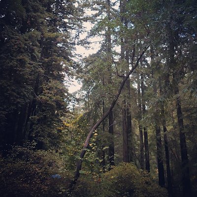 A photo in this story