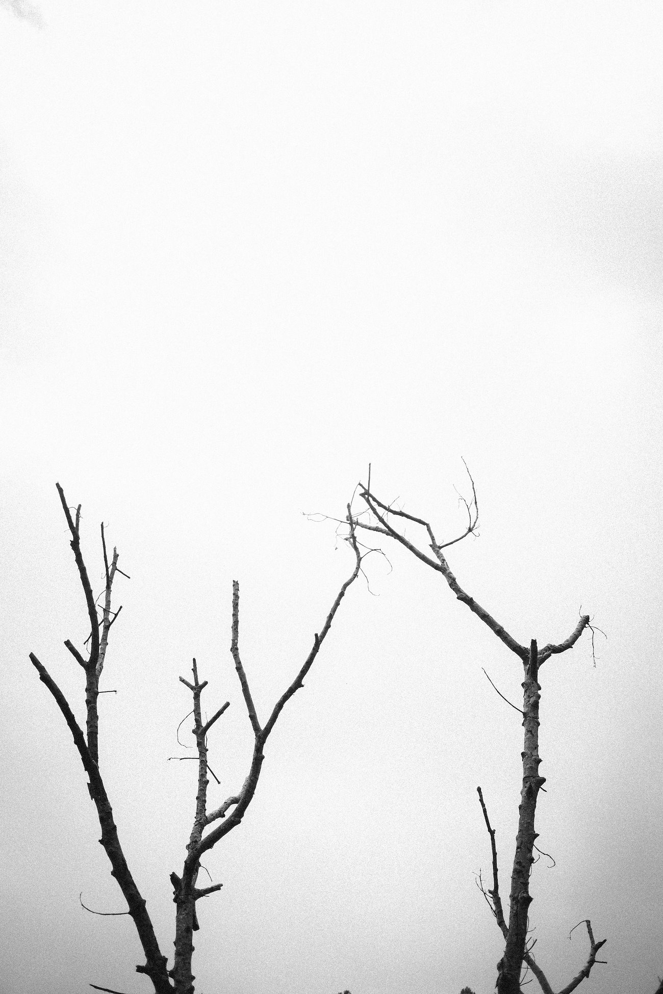 A photo in this story