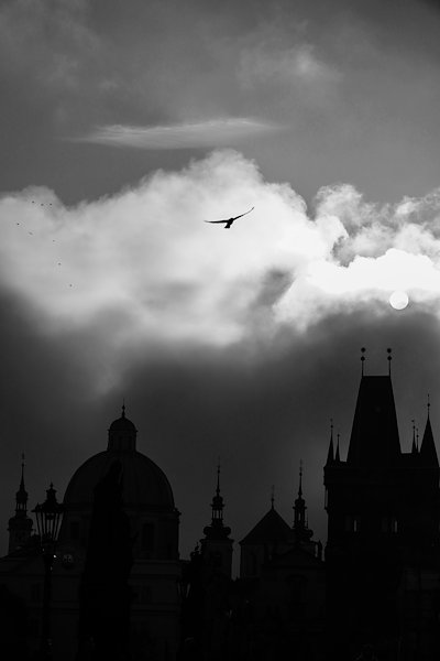 A photo in this story