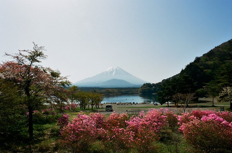 Fuji 7.jpg