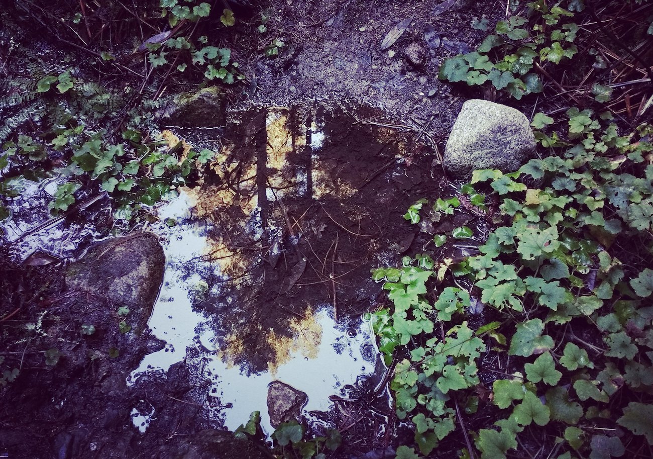 A photo in this story