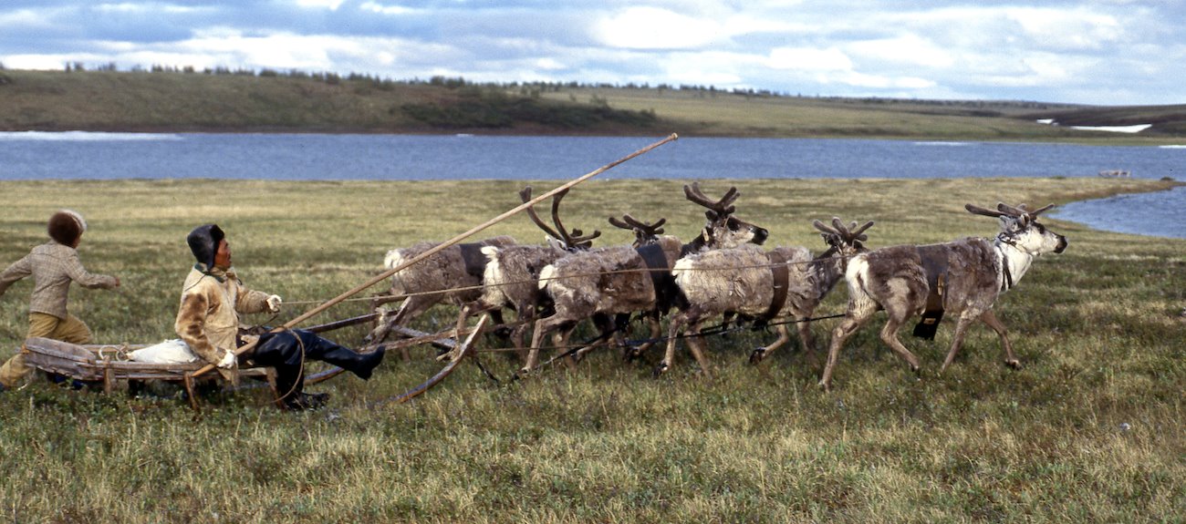 Reindeer herding Dolgans, Khatanga region, Taimyr, Russia. Credit: GRID-Arendal/Peter Prokosch