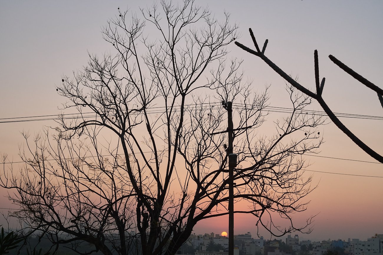 A photo in this story