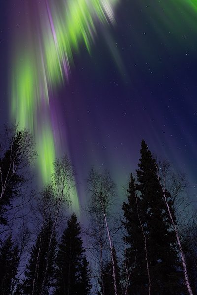 A photo in this story
