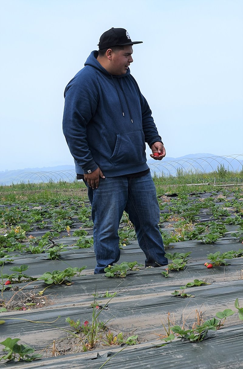 Marcos Avalos of Avalos Farm, a Mandela Foods Distribution member, with farm-grown strawberries