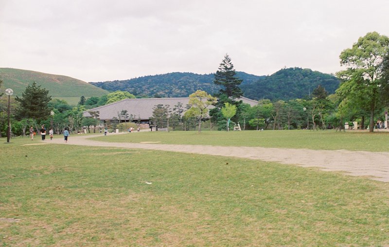 Nara 2.jpg