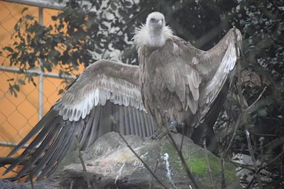A photo in this story