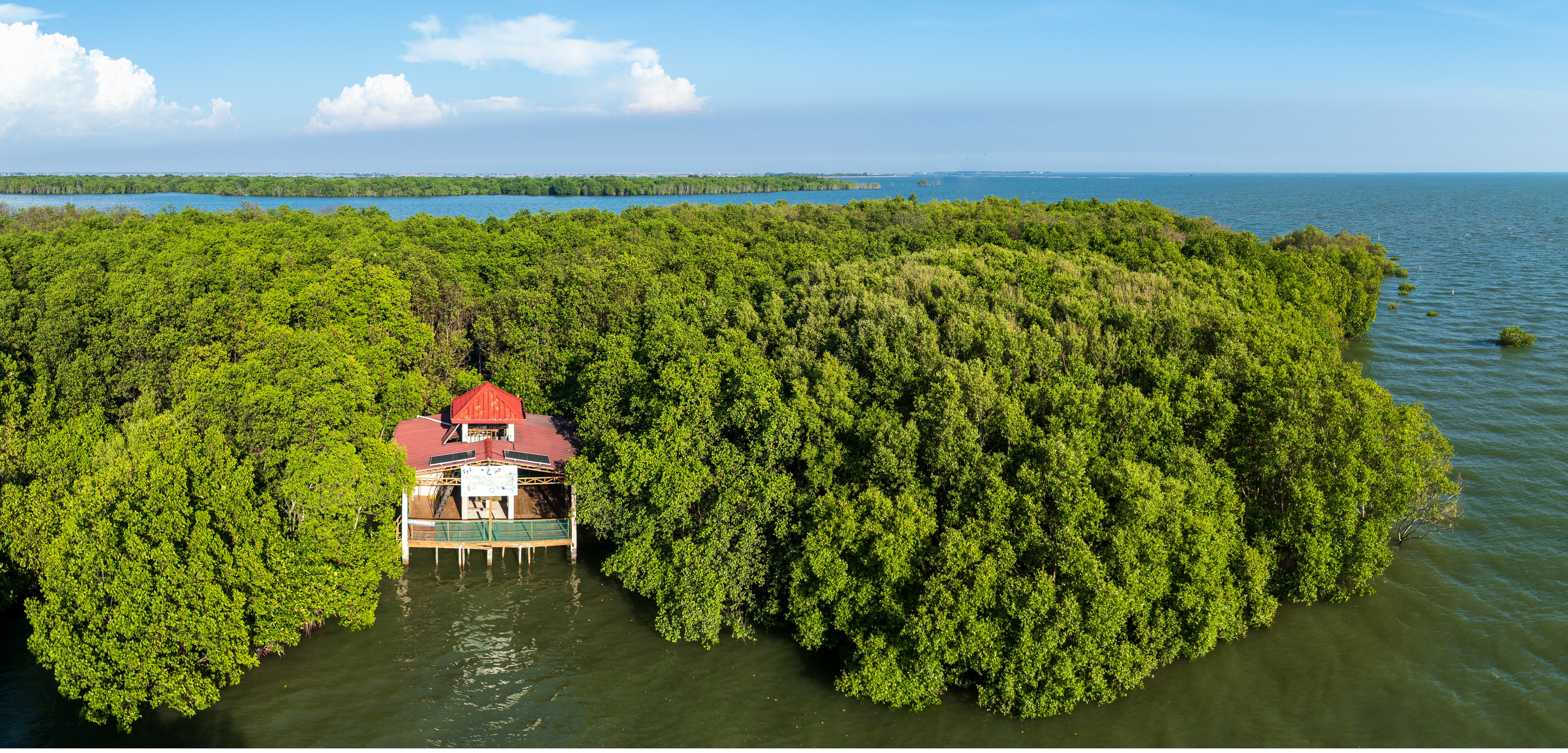 At the heart of the Sasmuan Pampanga Coastal Wetlands, lies a mangrove ...