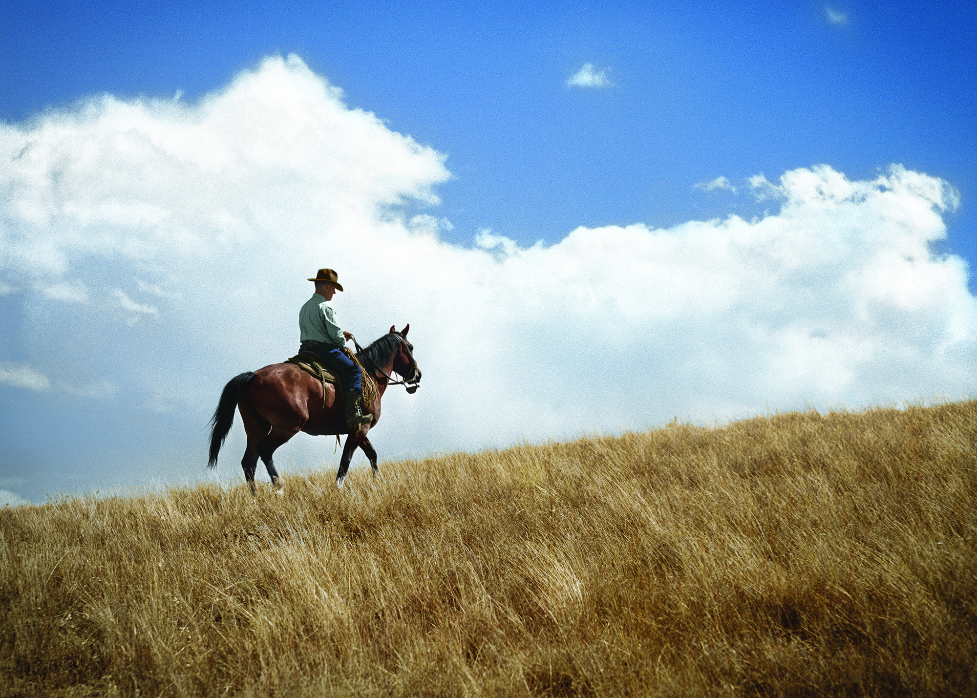 Final ranch image