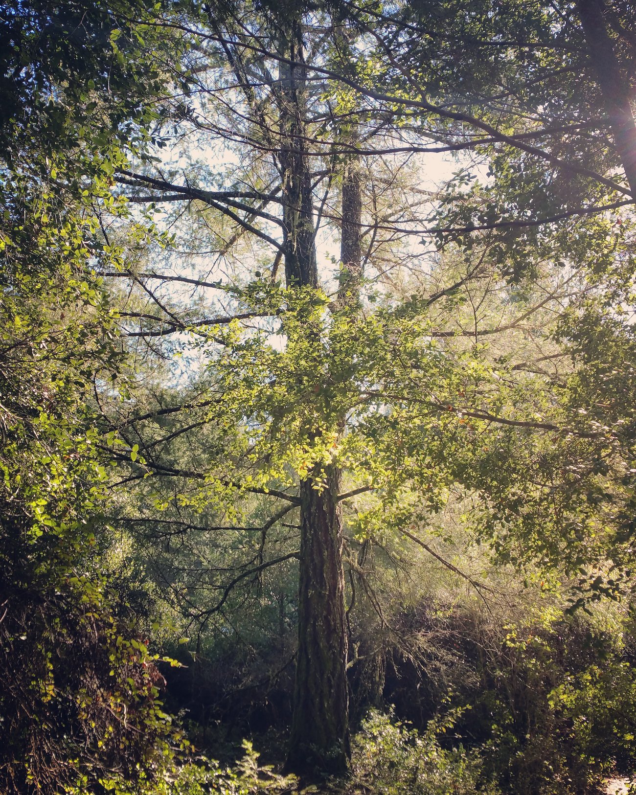 A photo in this story