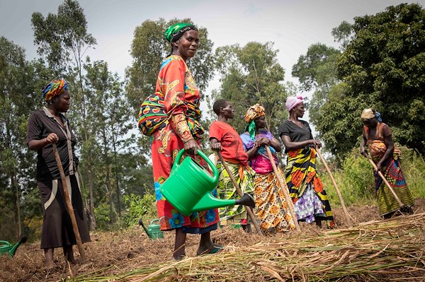 A group of displaced women in their shared field near Bunia. They are cultivating the field to prepare the first harvest.