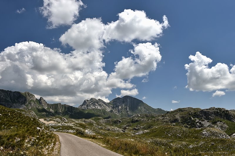 Montenegrin highland, Kolasin. Photo Credit: Risto Bozovic / UNDP in Montenegro