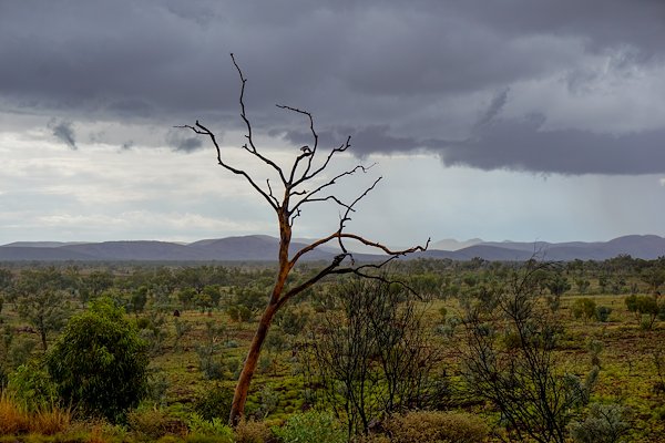A photo in this story