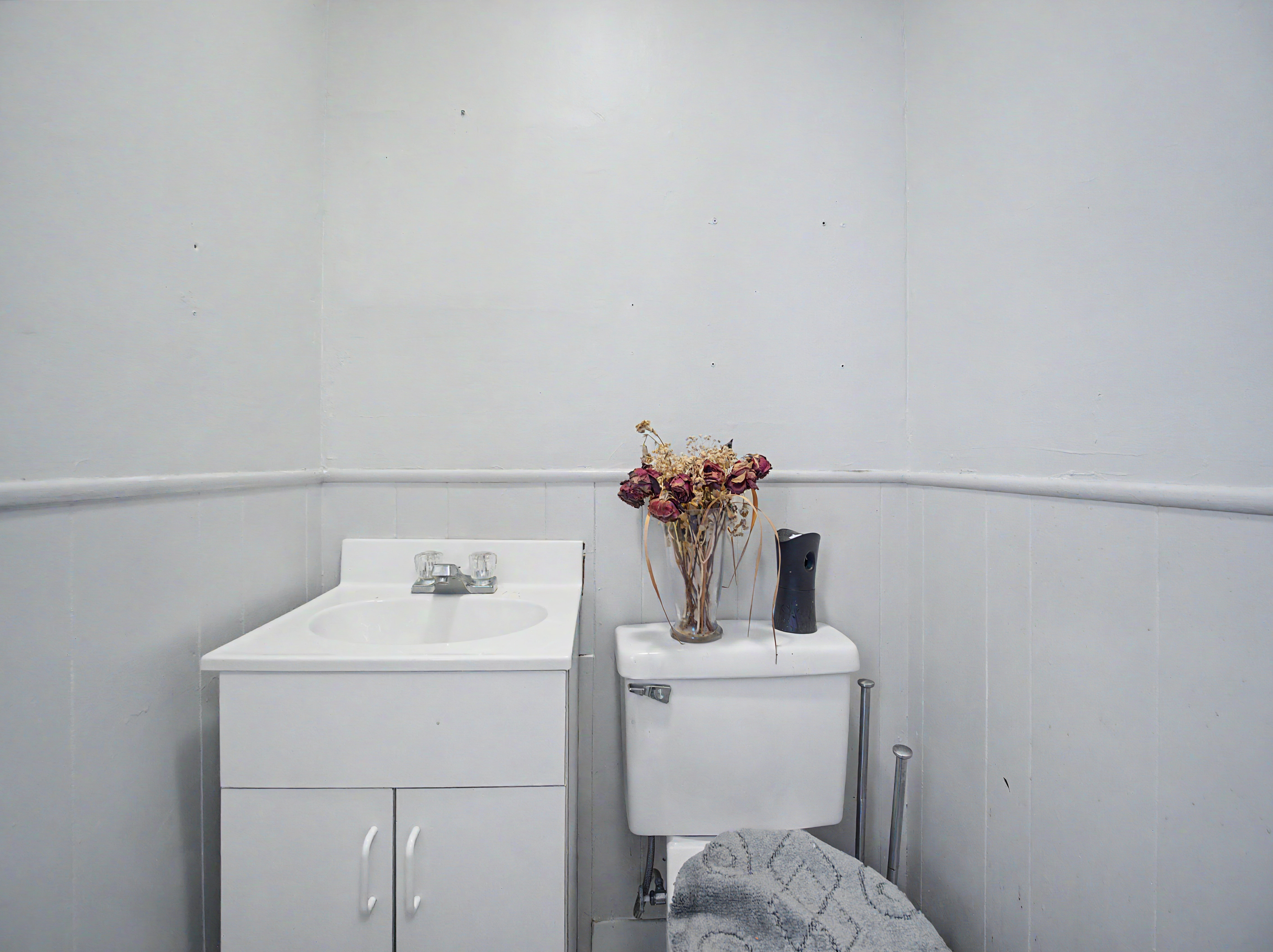 Home in Hamden, Connecticut, photographed by Ari Lee