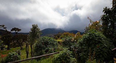 A photo in this story