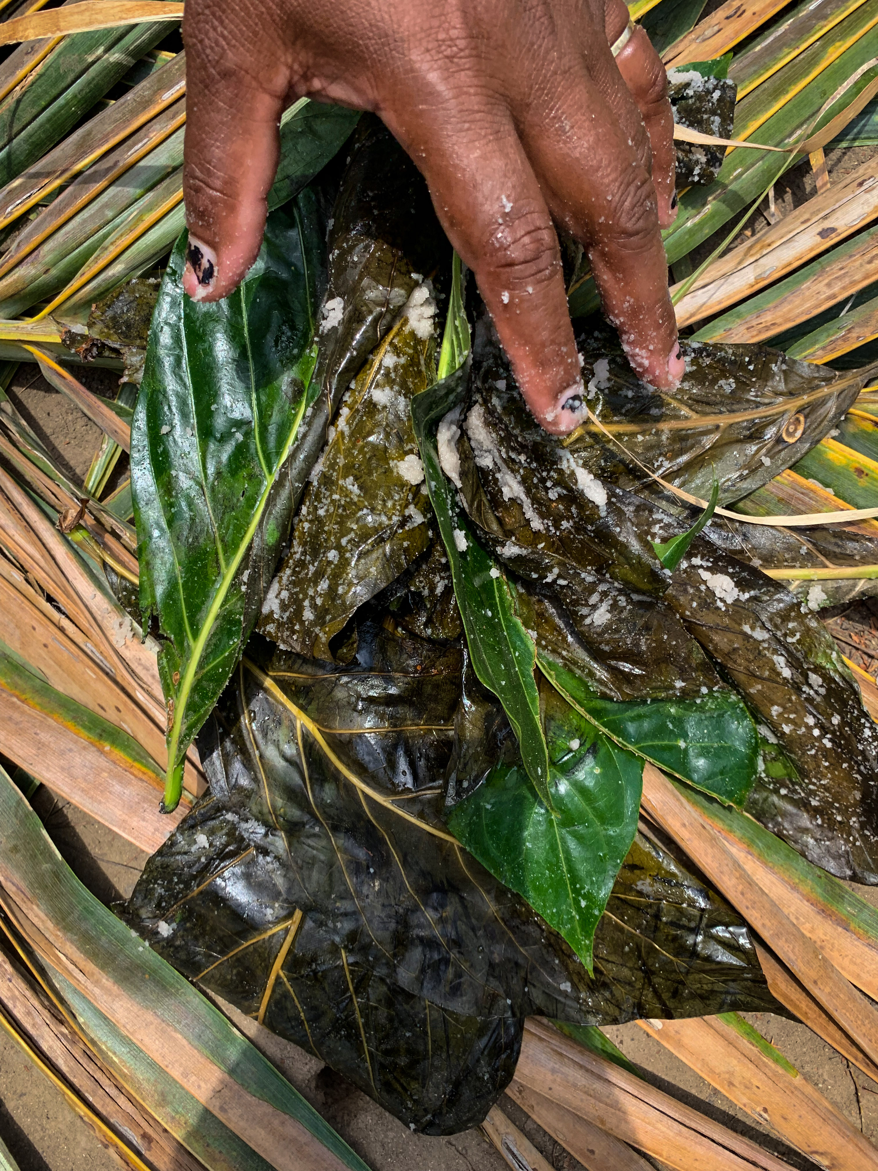 Salt making revives Fijian traditional knowledge
