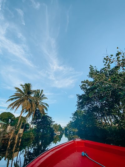A photo in this story