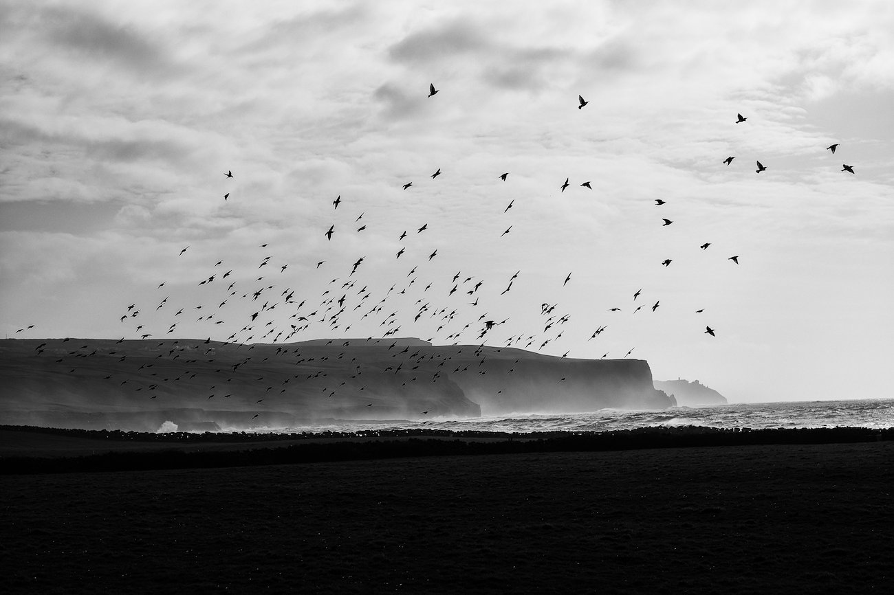 Cliffs of Moher -- Leica M10, Summicron 75/2 APO