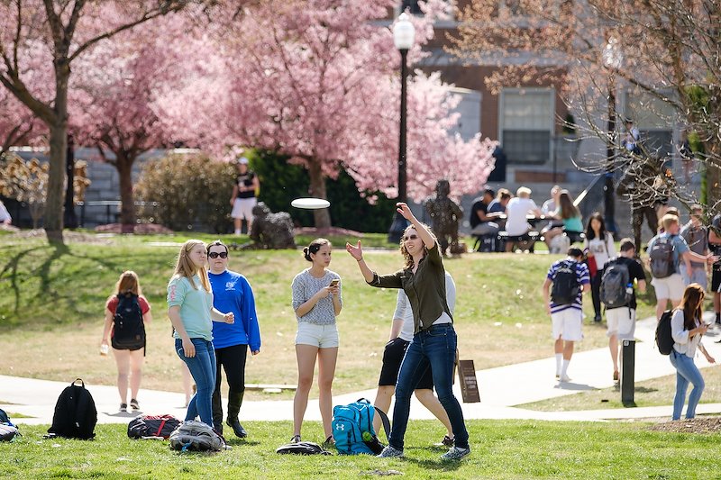 Sarah Rudasill ('17) plays Friday Frisbee on Manchester Plaza, with the flowering trees in front of Tribble in full bloom.