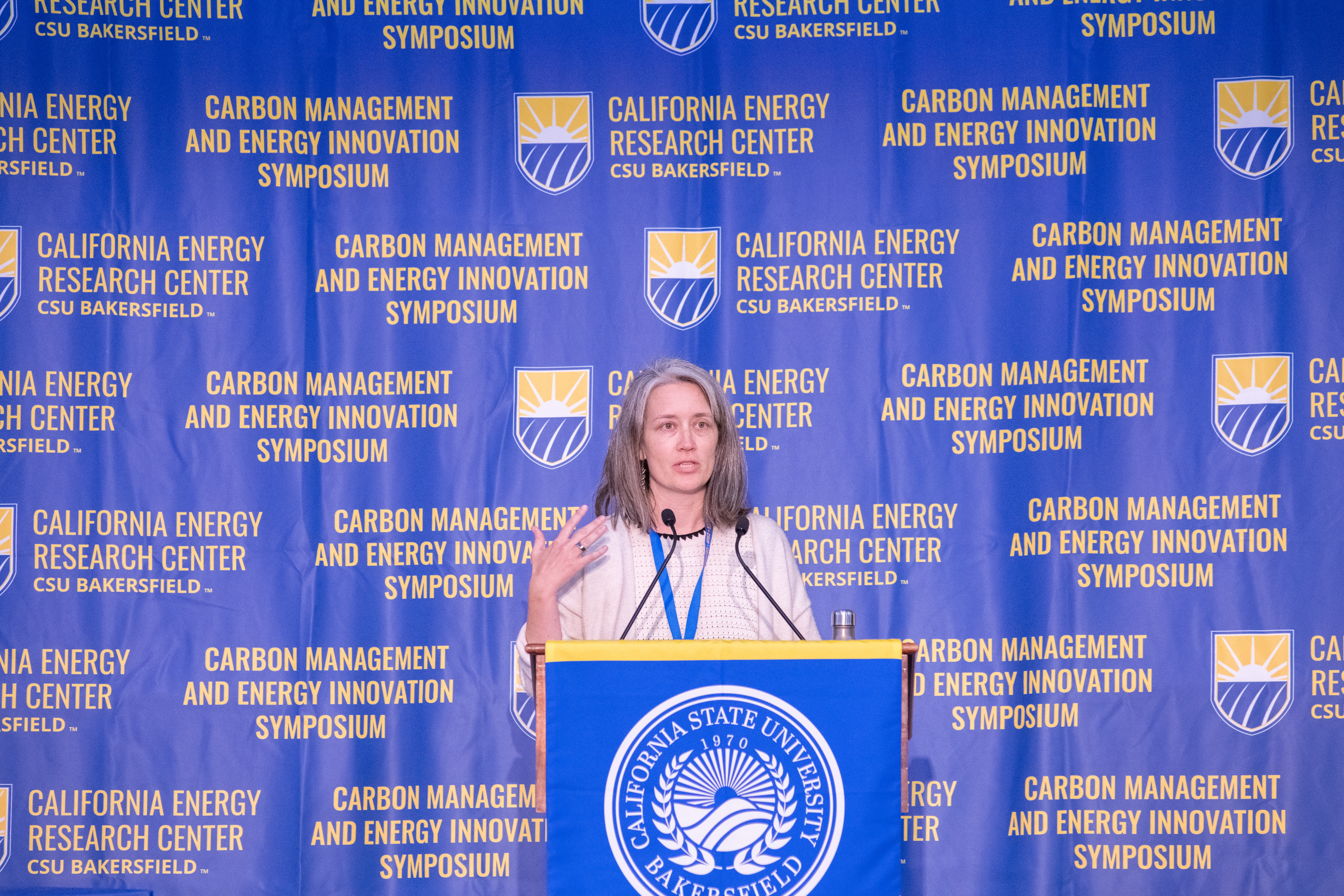 Ann Rogan of Edge Collaborative gives a presentation called