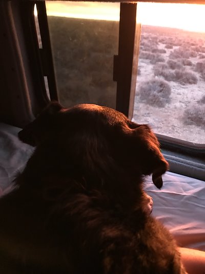 A photo in this story