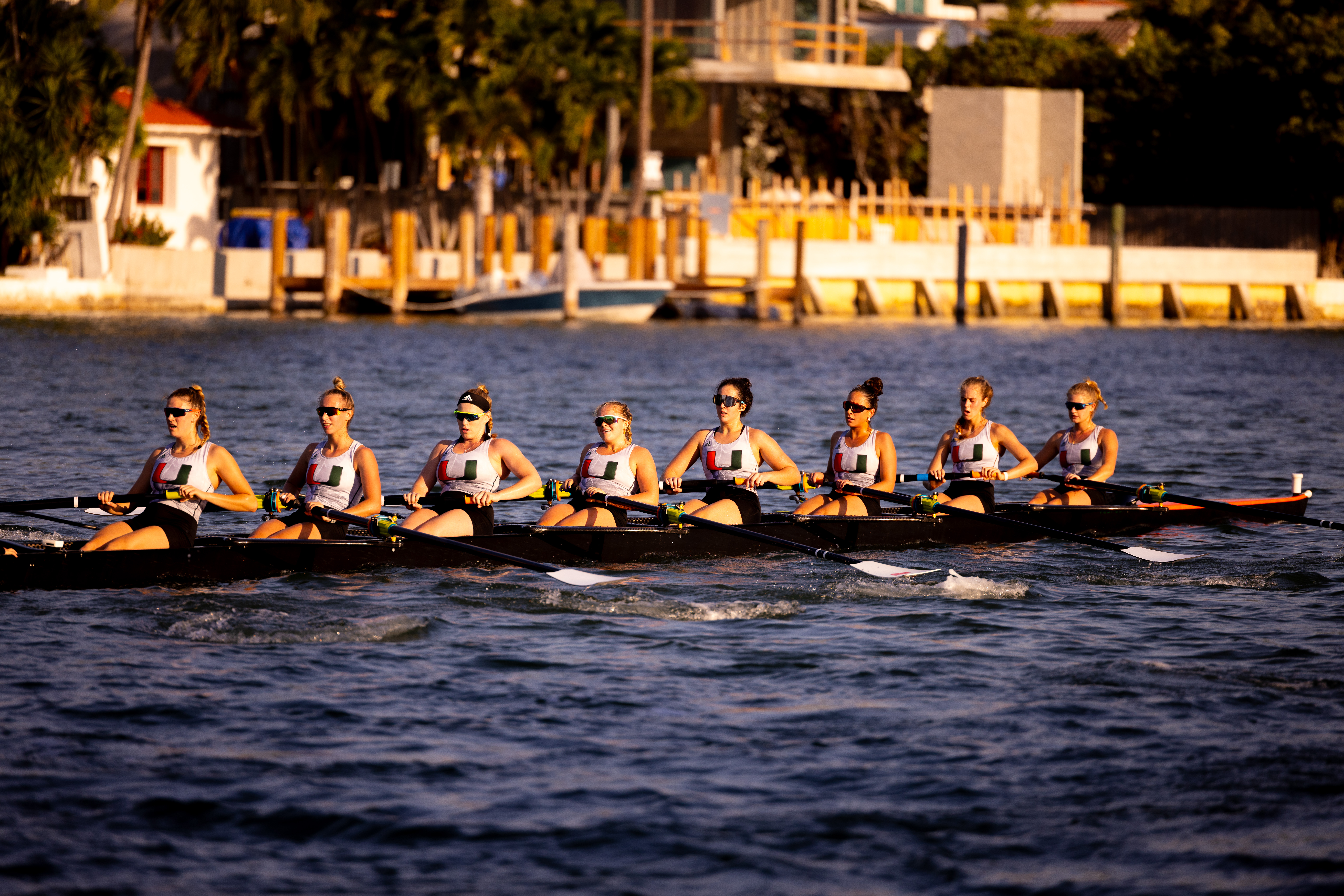 The Miami Crew
