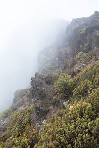 A photo in this story