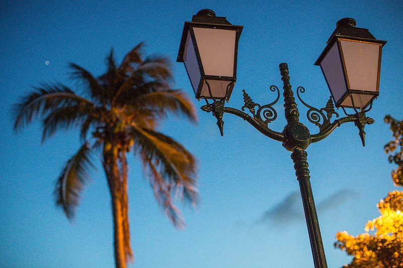 Street lights and palm trees.