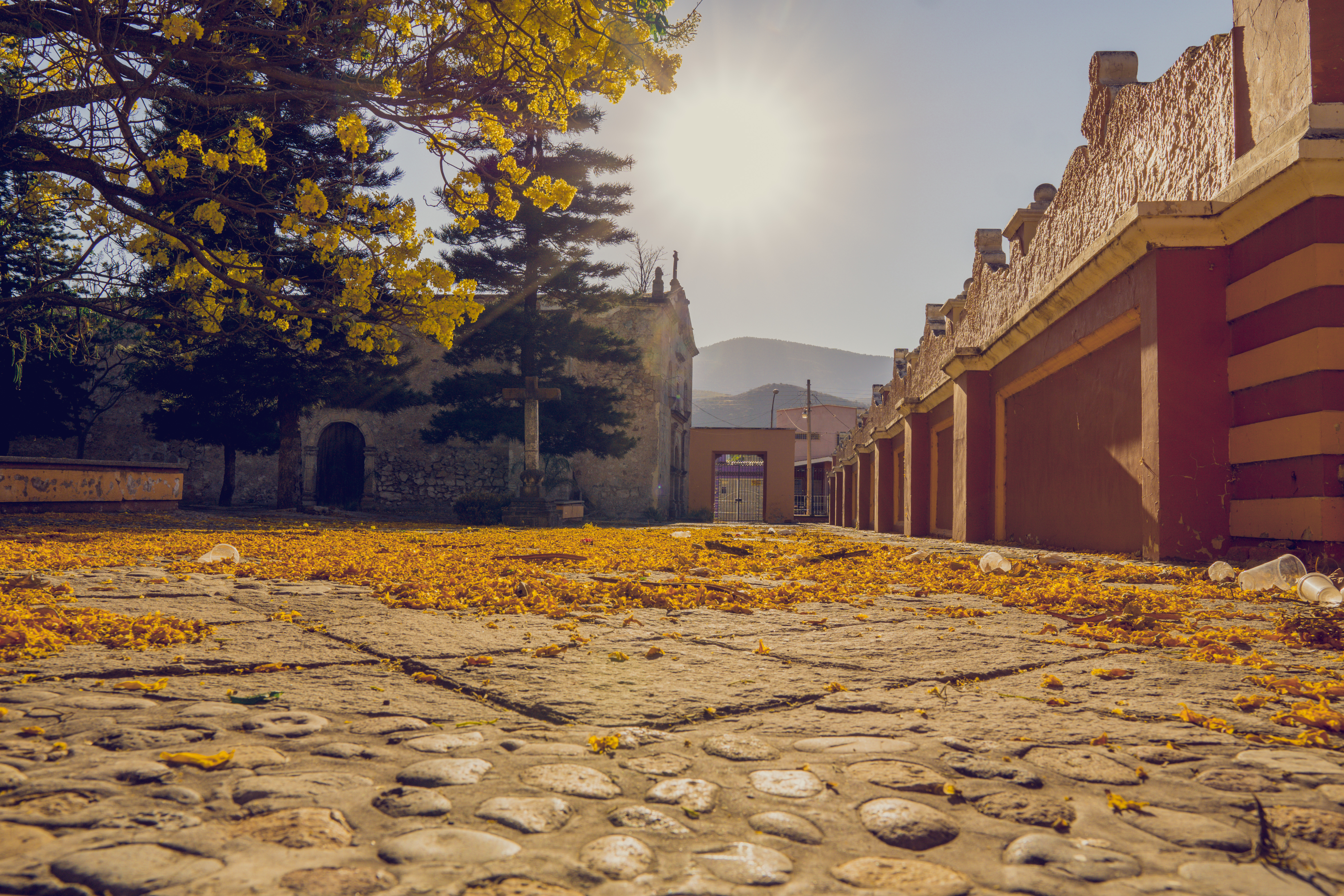 A photo in this story