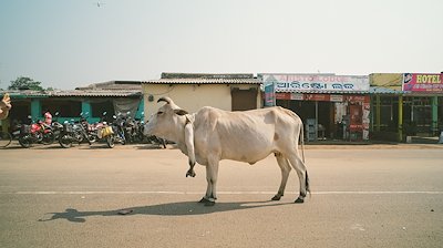 A photo in this story