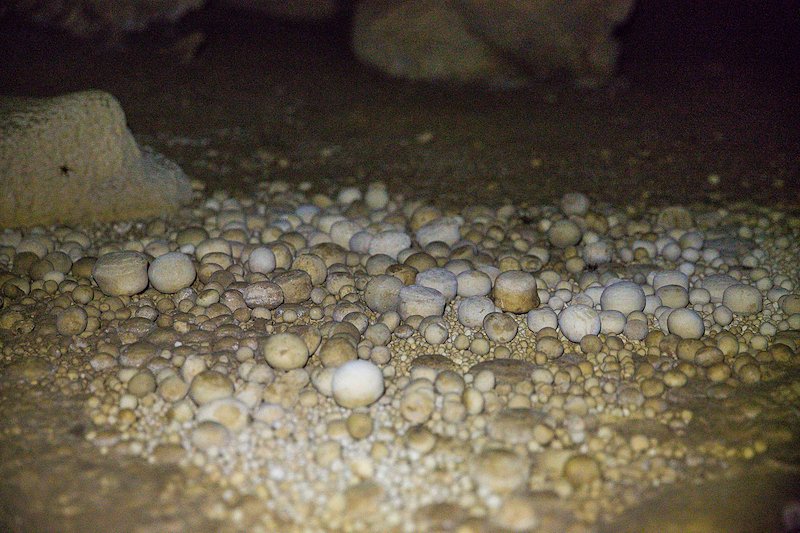 Some of the largest cave pearls in the world are found in this region. The pearls in this photo are nearly golf ball sized.