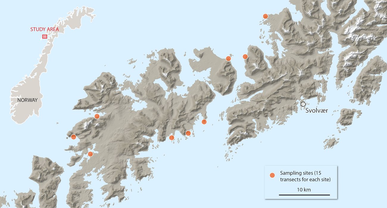 This map shows the nine main sampling sites in the Lofoten area. At each location, 15 beach transects were performed. Map by Levi Westerveld