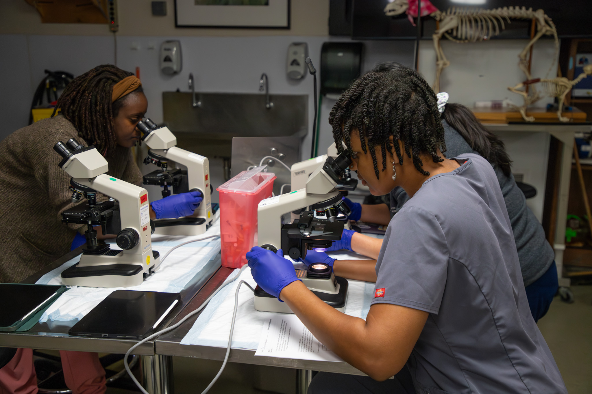 Art and science converge to bolster communication skills for veterinary ...