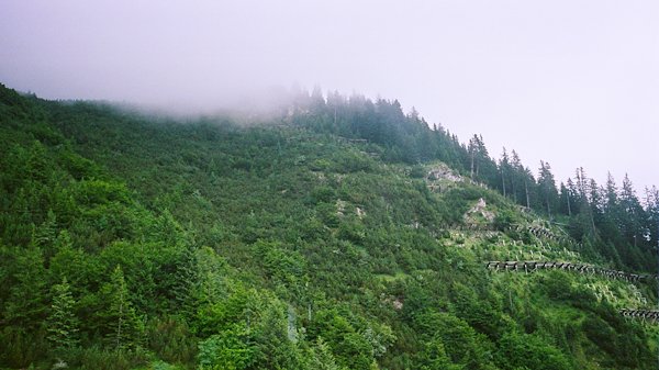 A photo in this story