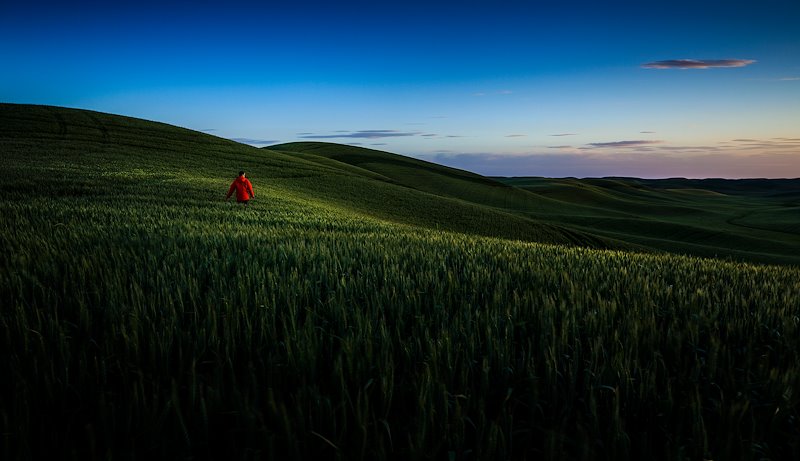 1st Place - Nikon Shootout - Solitude on the Palouse - near Moscow, Idaho - Photo by Nate Edwards/BYU Photo