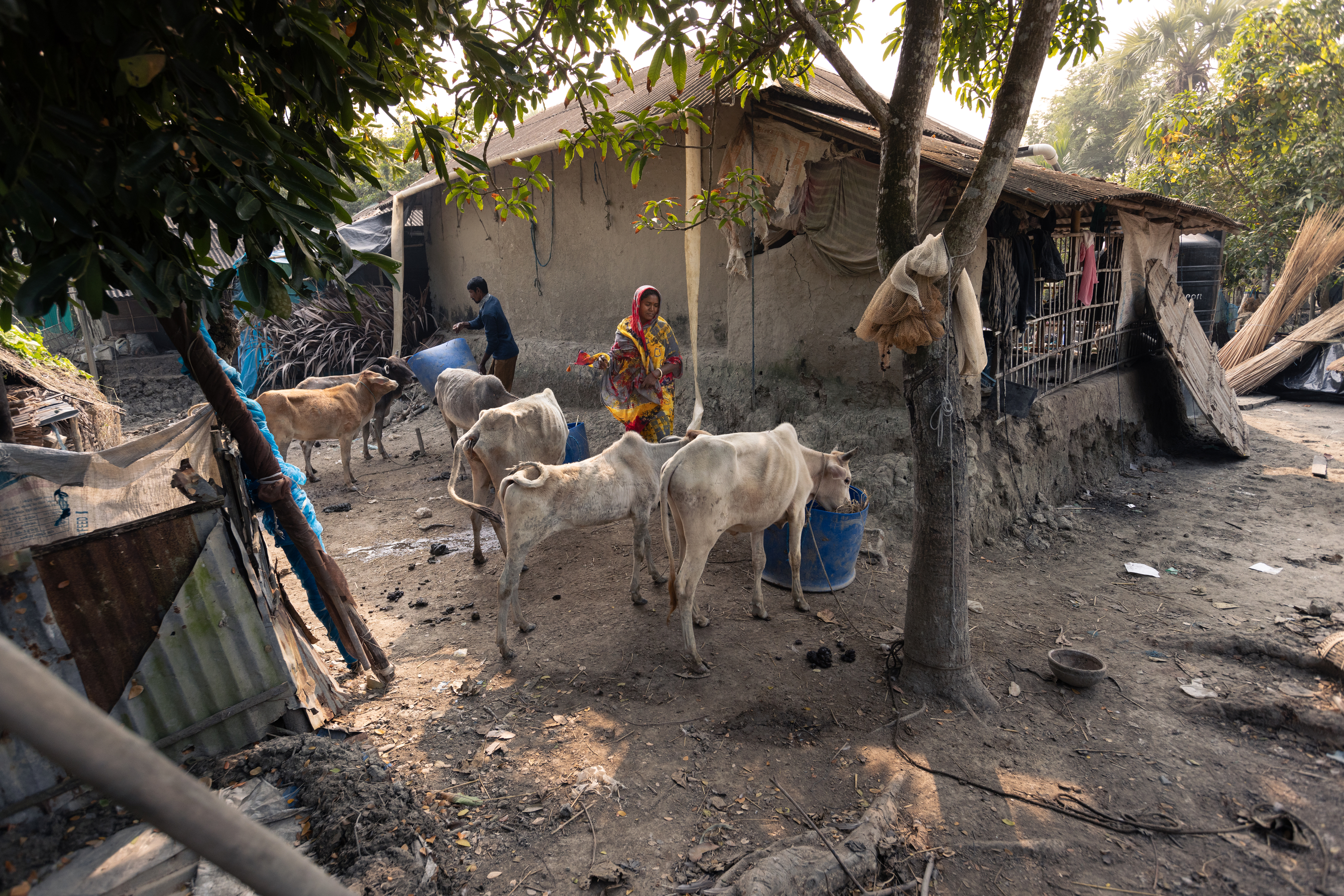 Champa and Rekha: Fighting Tuberculosis Through Fear and Floods in ...