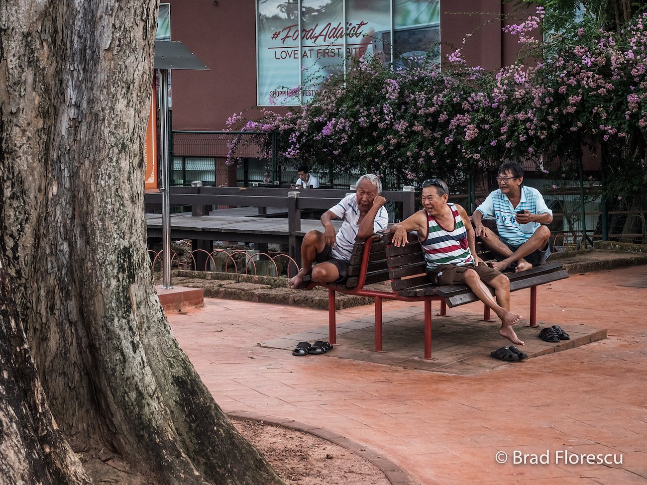 A photo in this story