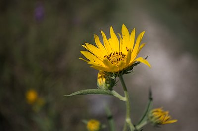 A photo in this story